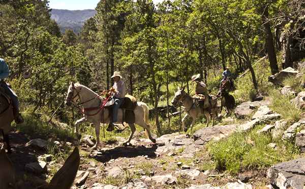 waterfall ride argentine trail on horseback new mexico